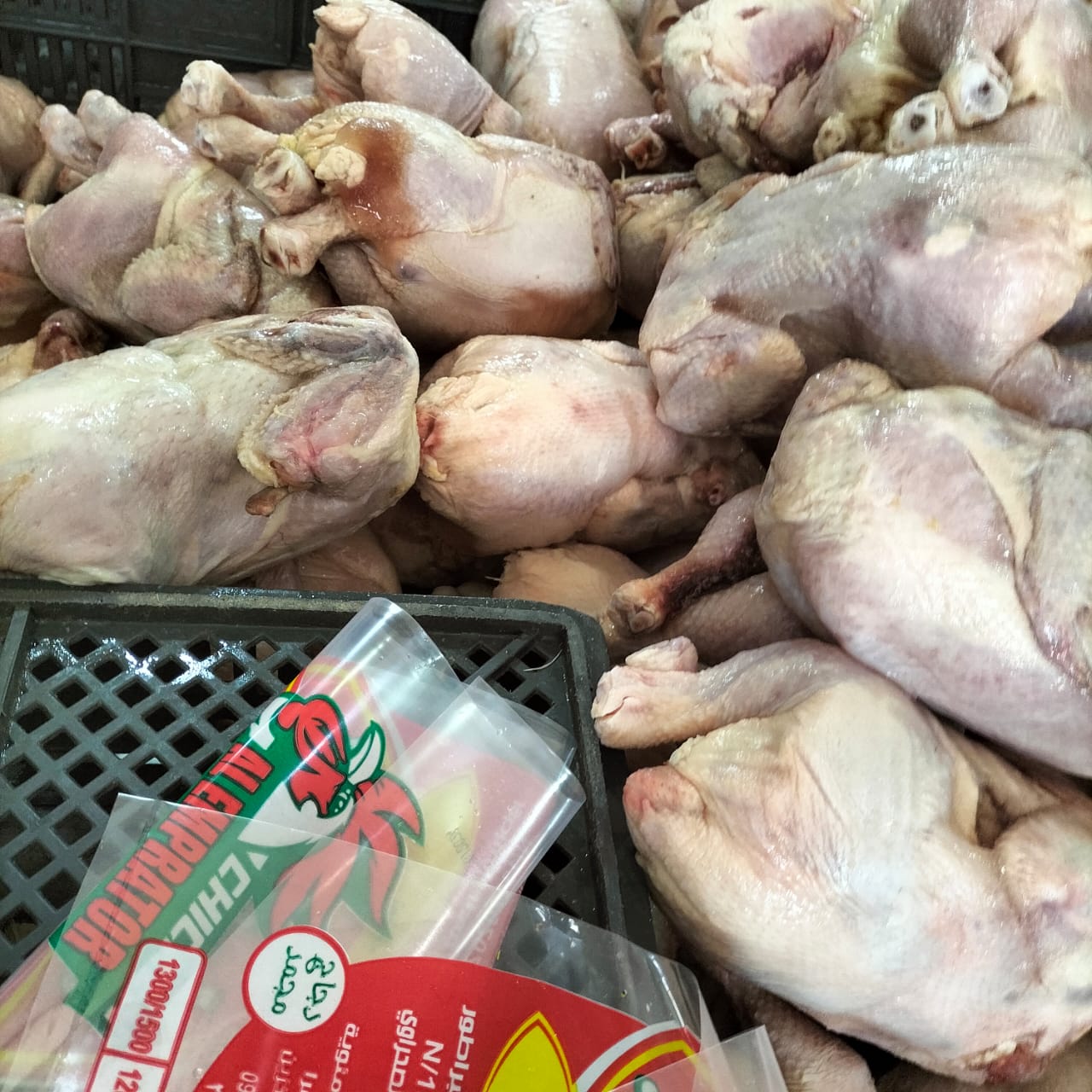 المضبوطات 06