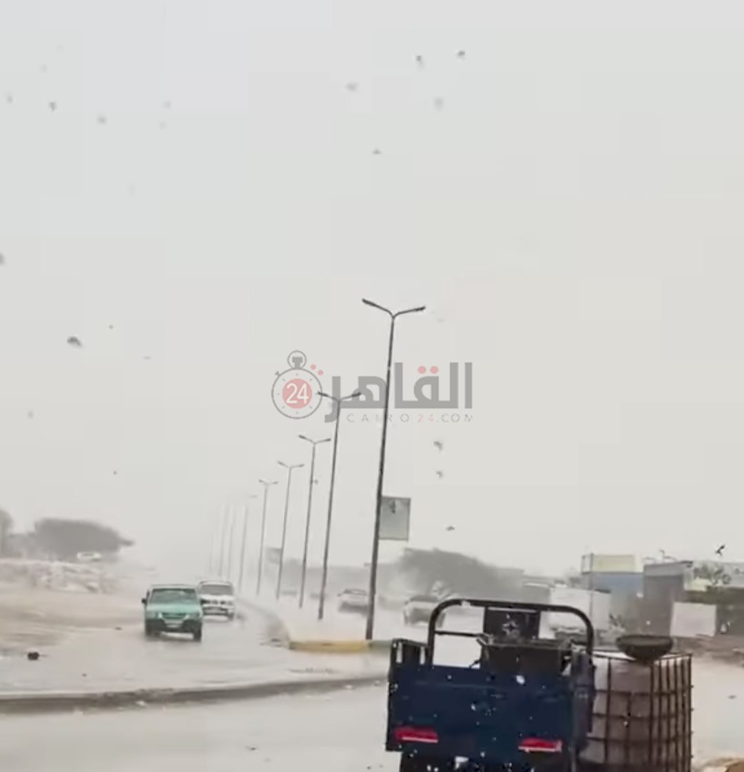 IMG_٢٠٢٤٠٨٠٥_٠٨٥١٠٦