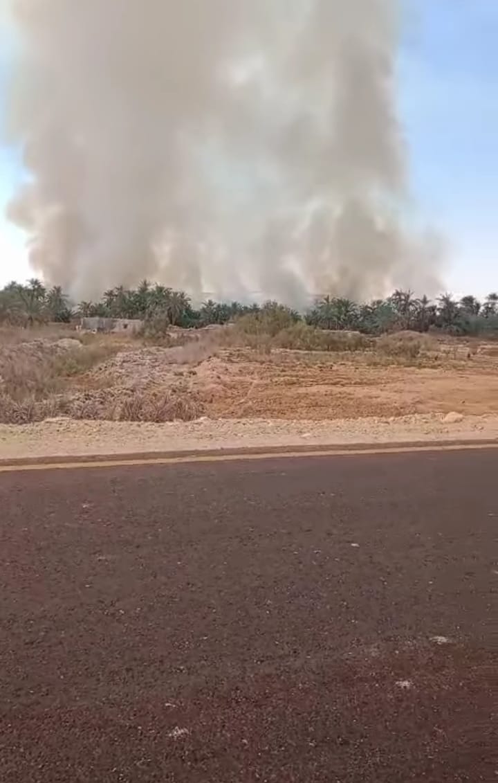 السيطرة على حريق مزارع النخل والزيتون بسيوة 