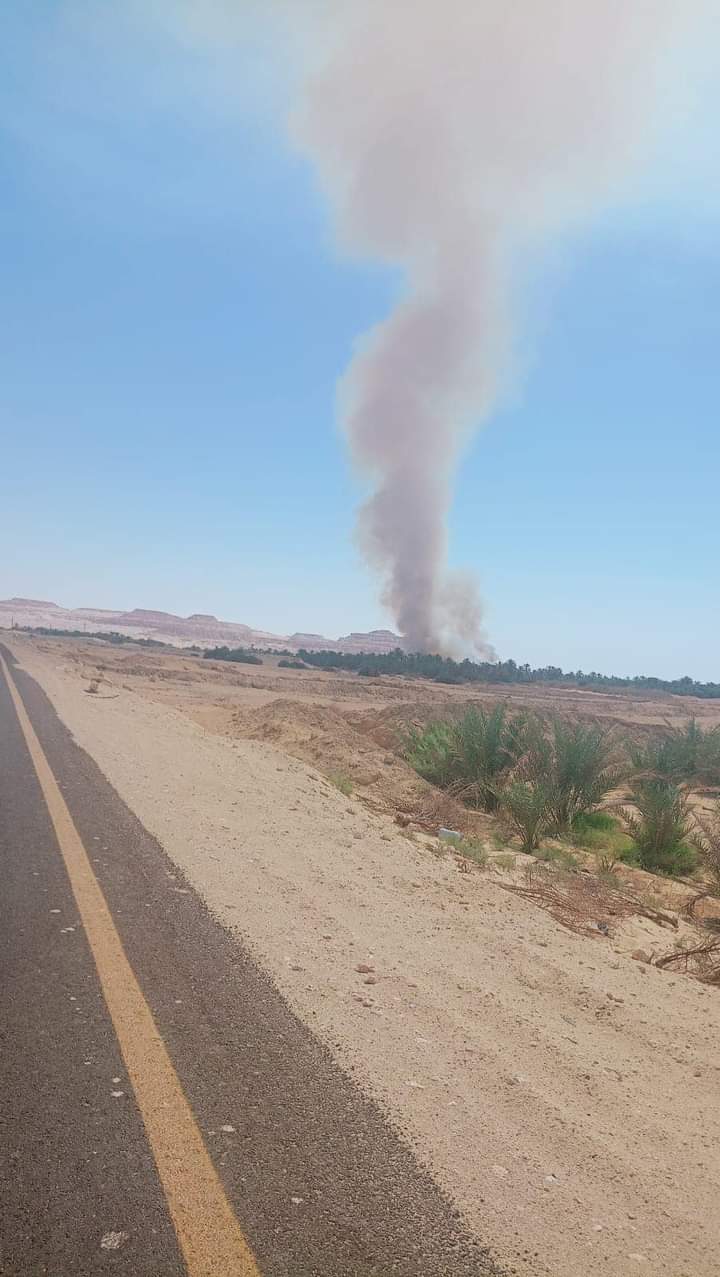 السيطرة على حريق مزارع النخل والزيتون بسيوة 