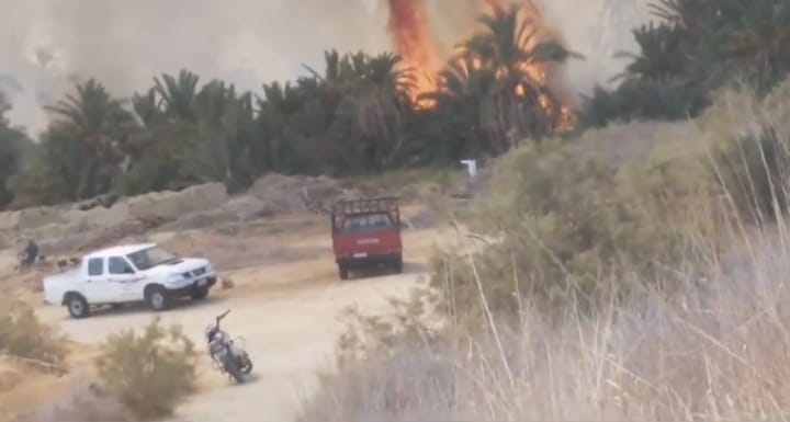 السيطرة على حريق مزارع النخل والزيتون بسيوة 