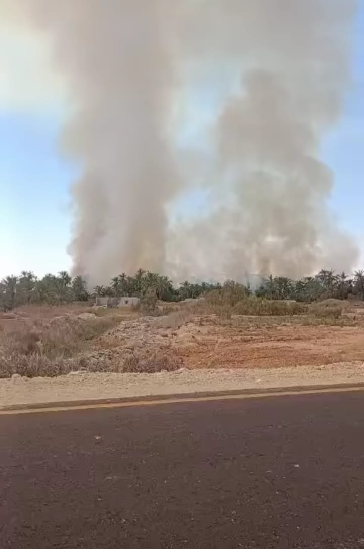 السيطرة على حريق مزارع النخل والزيتون بسيوة 