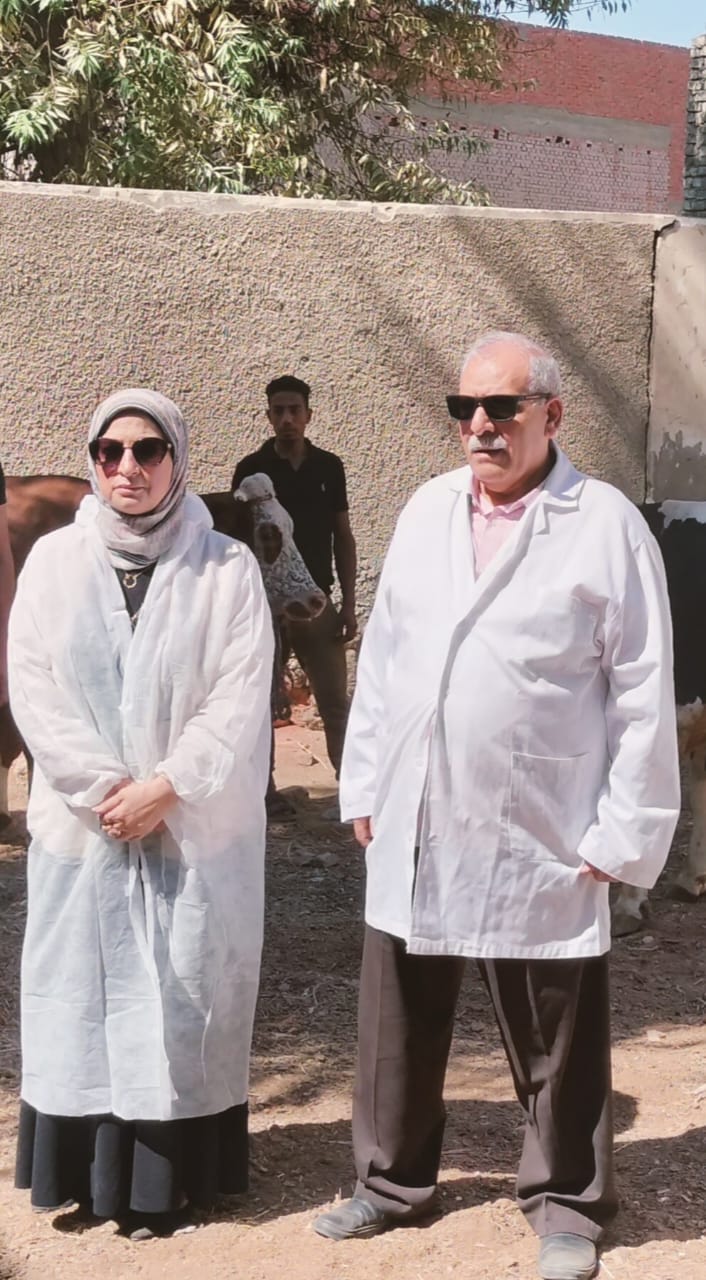 تحصين 166 ألف رأس ماشية ضد الحمى القلاعية بالفيوم