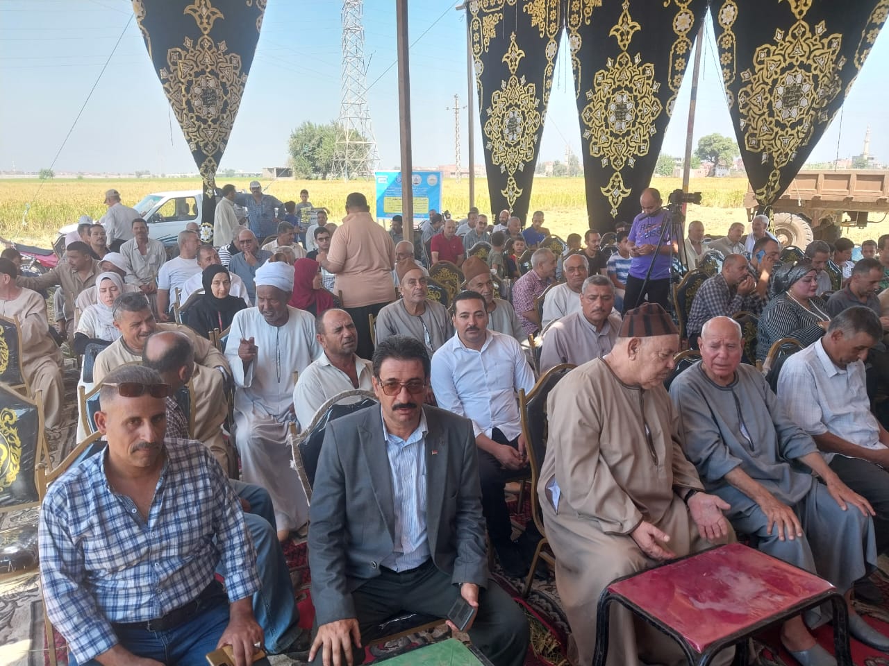 موسم حصاد الأرز في الشرقية 02