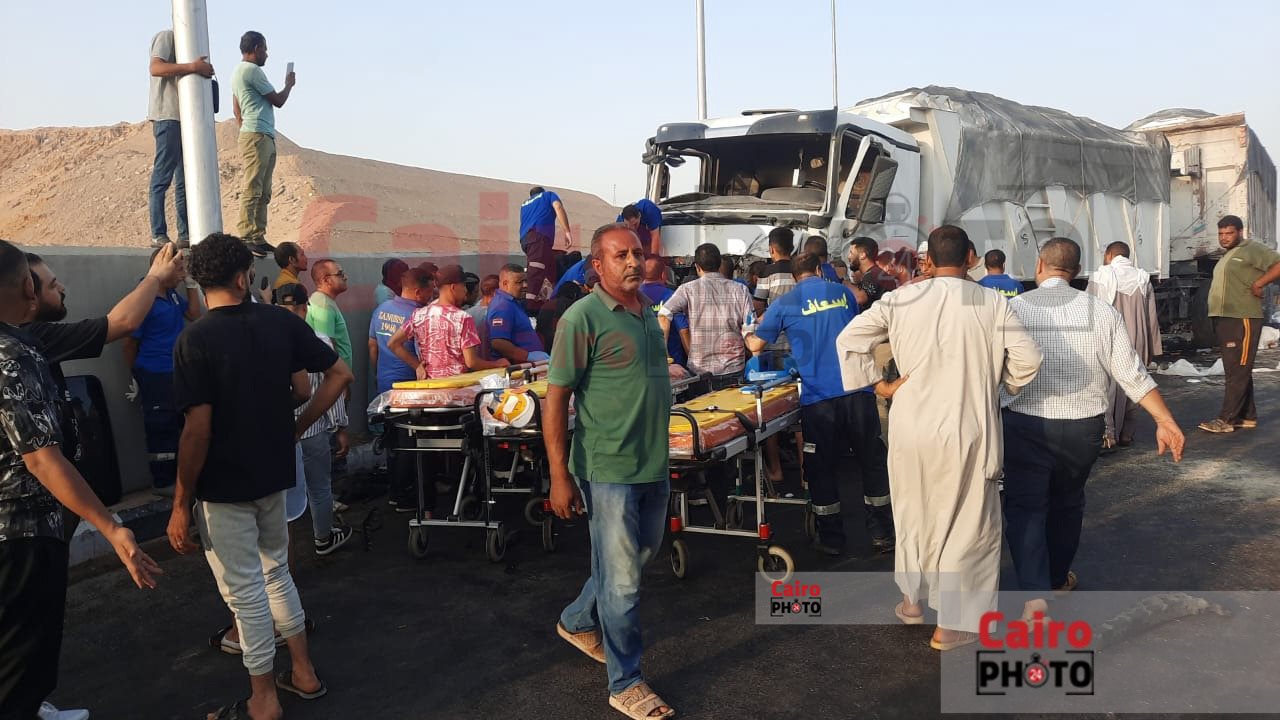 WhatsApp Image 2024-08-21 at 10.44.02 AM (1)