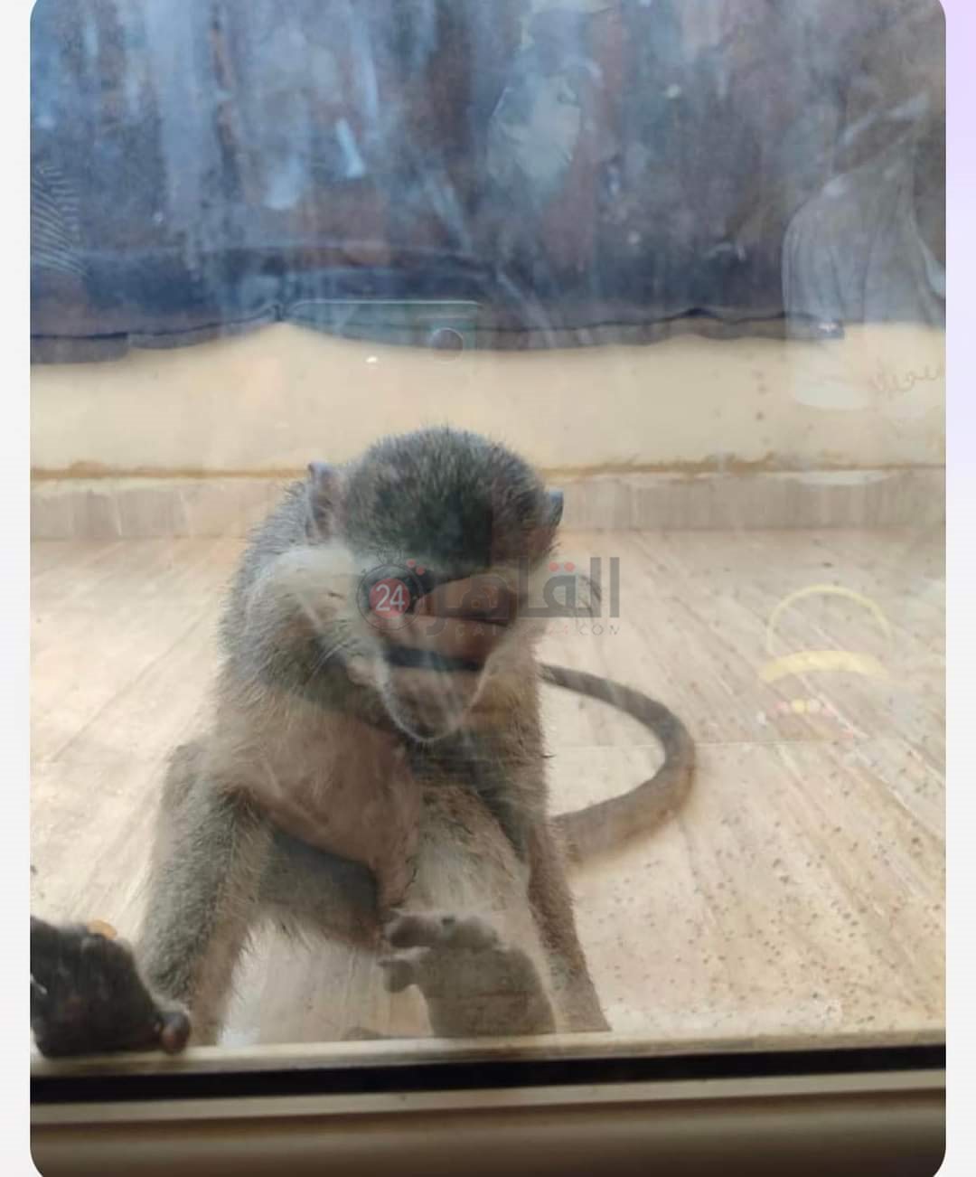 FB_IMG_1724253589181