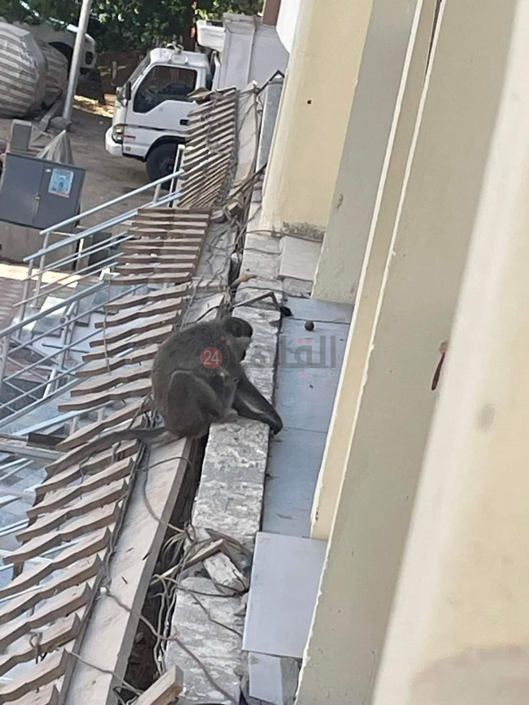 FB_IMG_1724253586797