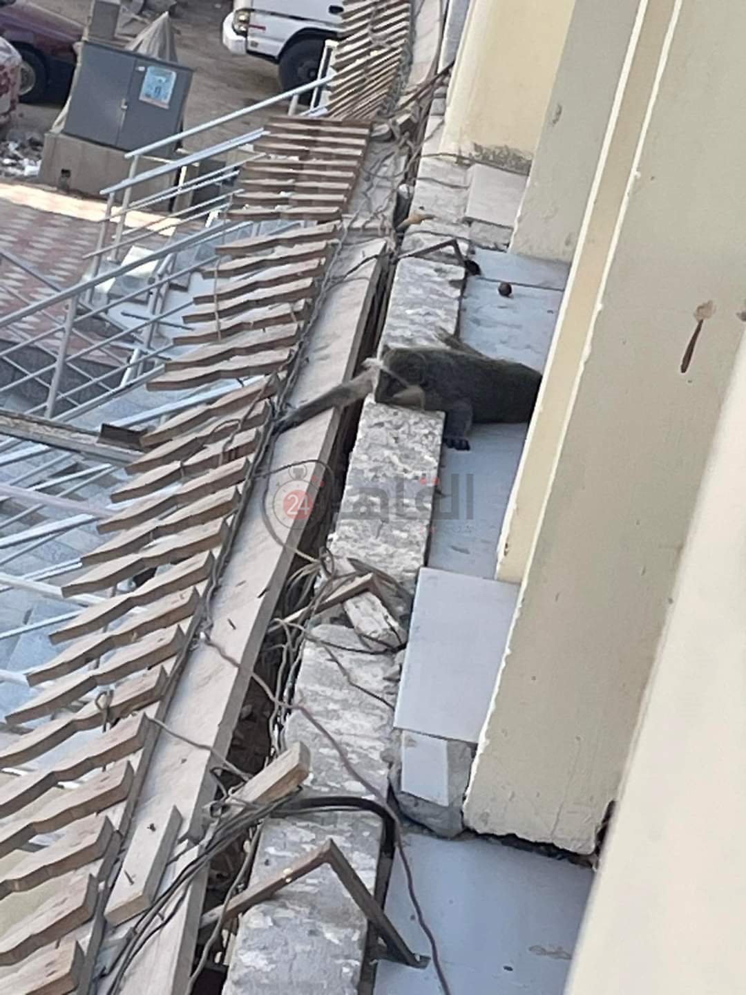 FB_IMG_1724253591488