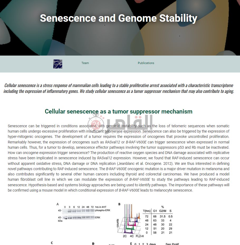 بحث علمي لريم حامد