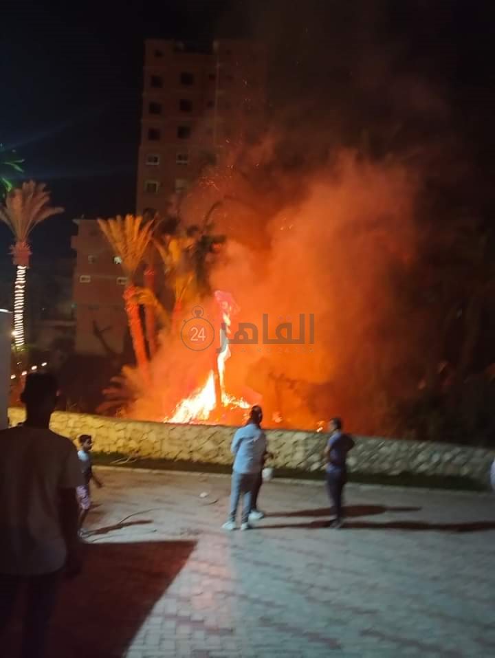 بدون إصابات ... حريق يلتهم أشجار النخيل بقرية عين السيليين بالفيوم