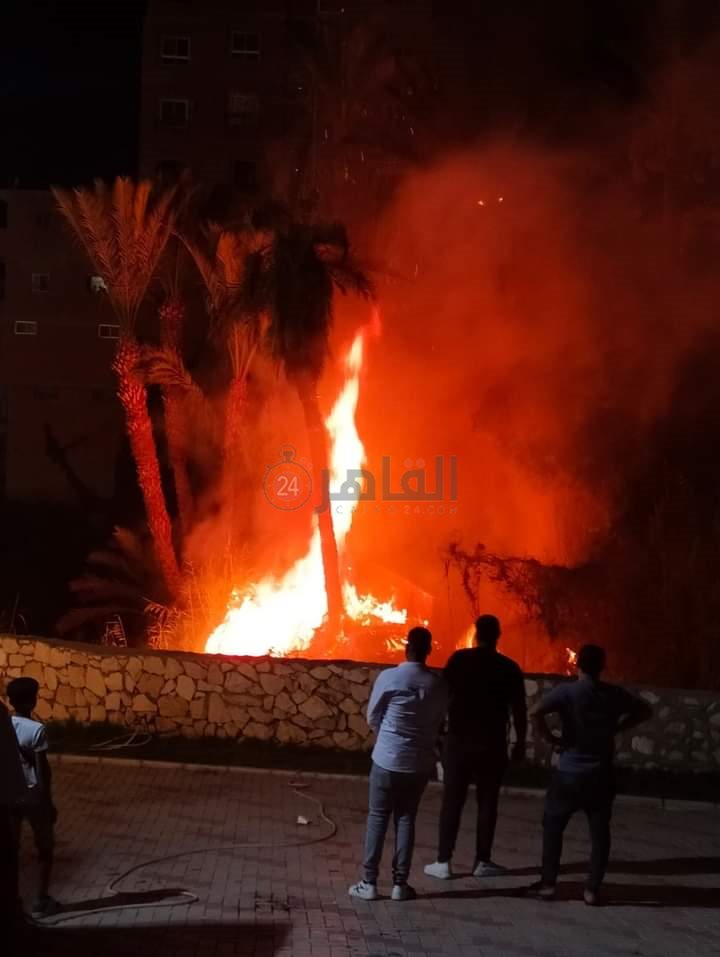 بدون إصابات ... حريق يلتهم أشجار النخيل بقرية عين السيليين بالفيوم