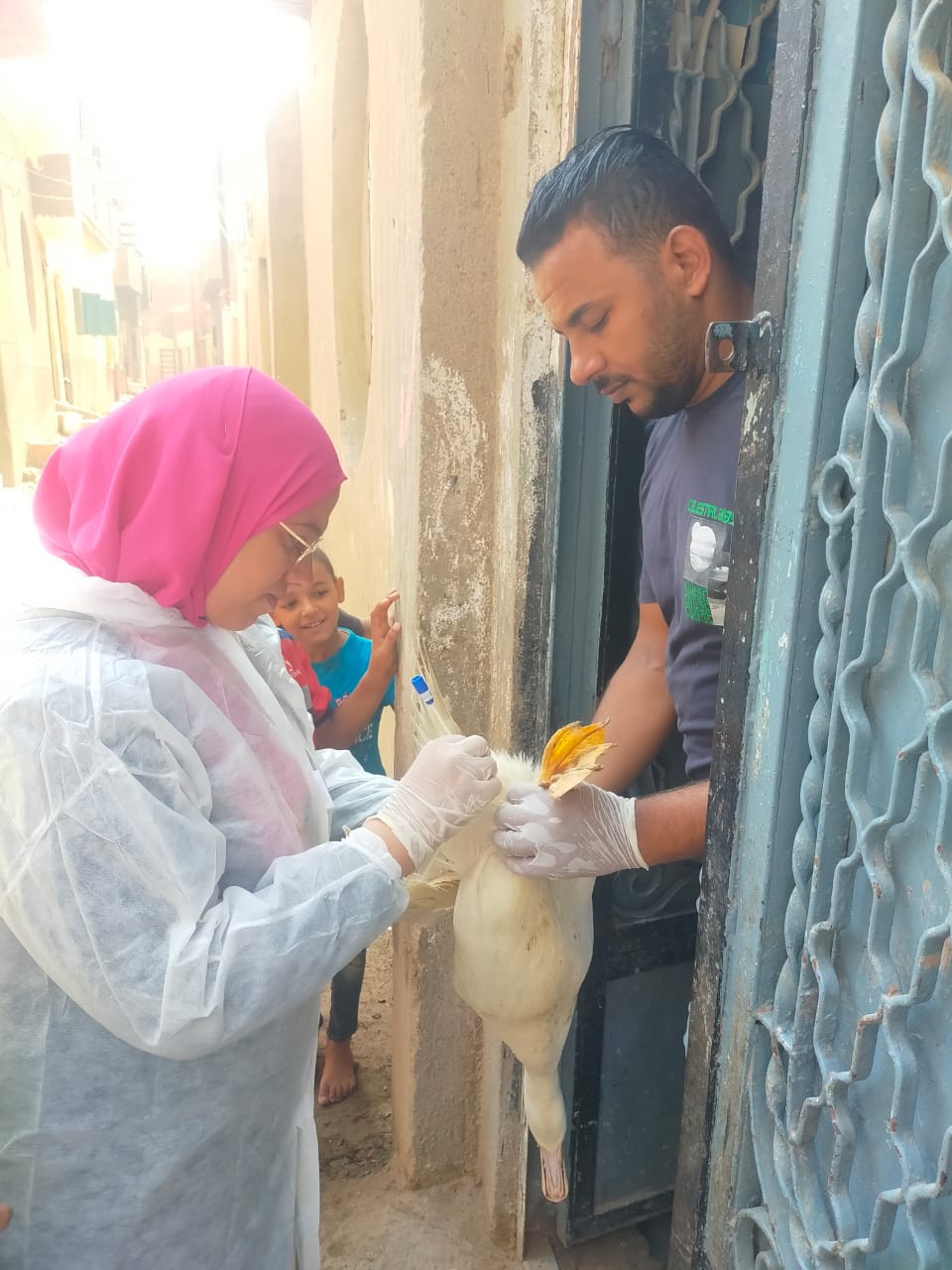 محافظ الفيوم يتابع فعاليات وأنشطة متنوعة لمديرية الطب البيطري بالفيوم خلال شهر أغسطس الماضي