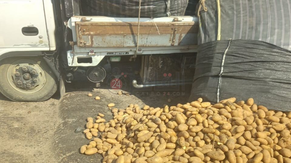 طرق تخزين البطاطس