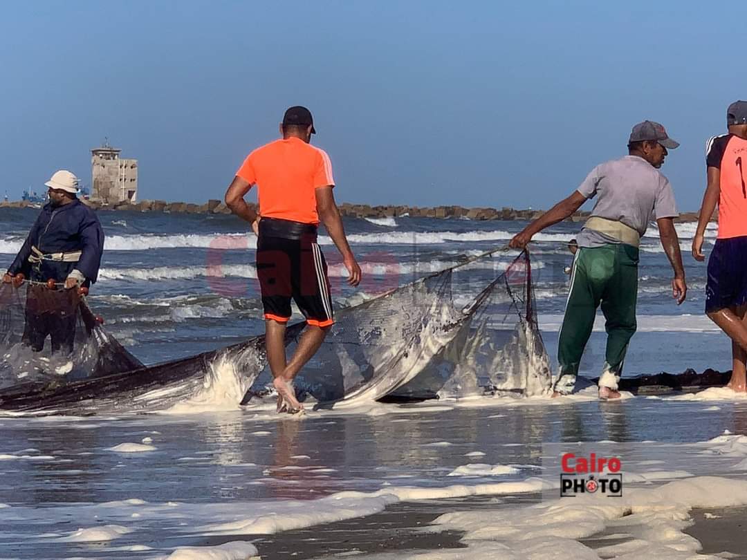 زبد البحر علي شاطئ بورسعيد 