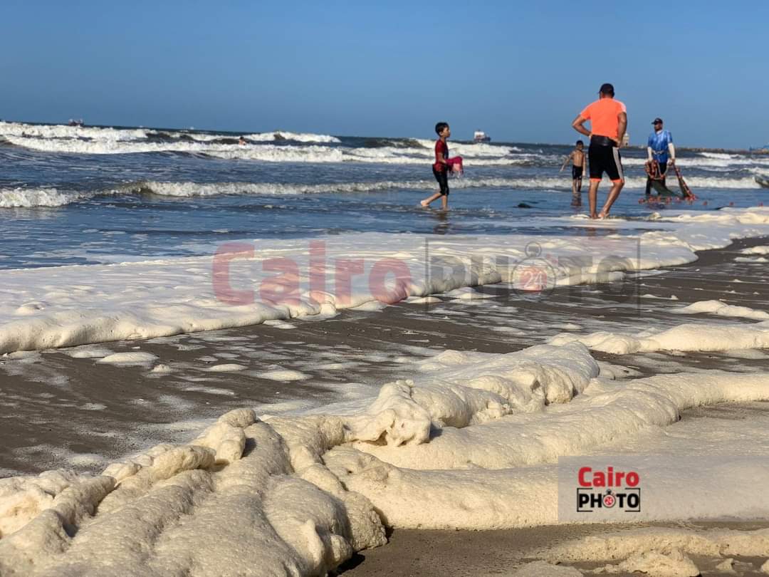 زبد البحر علي شاطئ بورسعيد 
