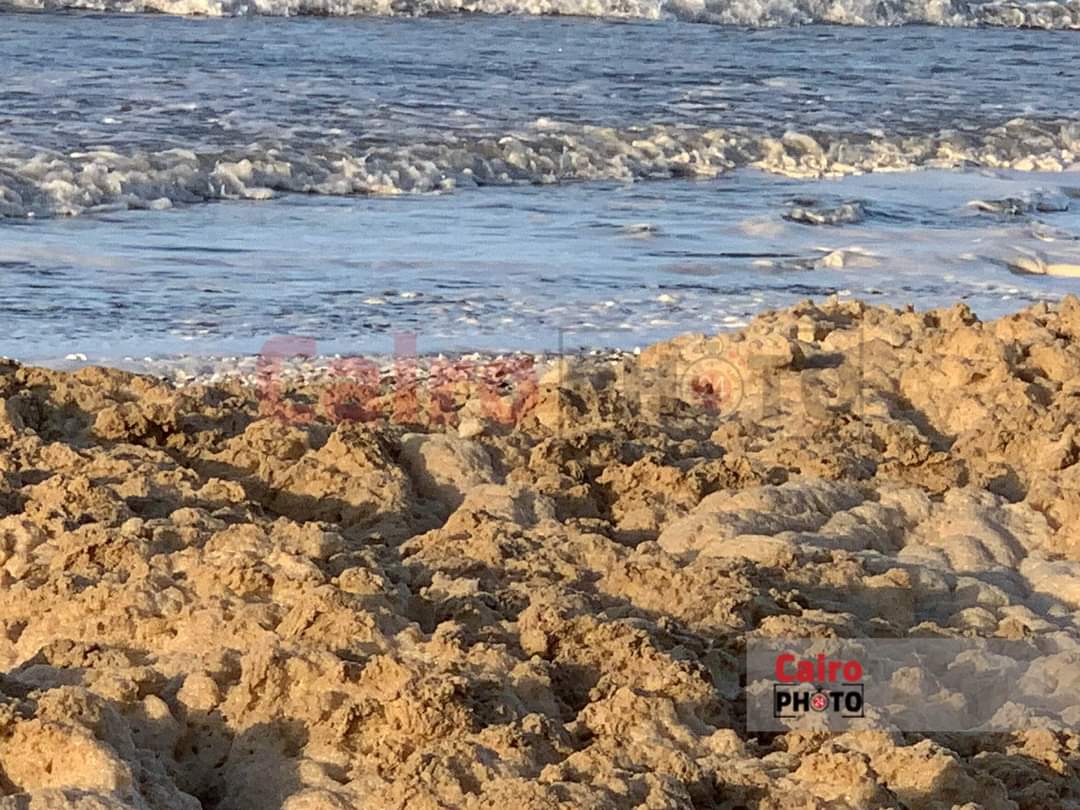 زبد البحر على شاطئ بورسعيد 