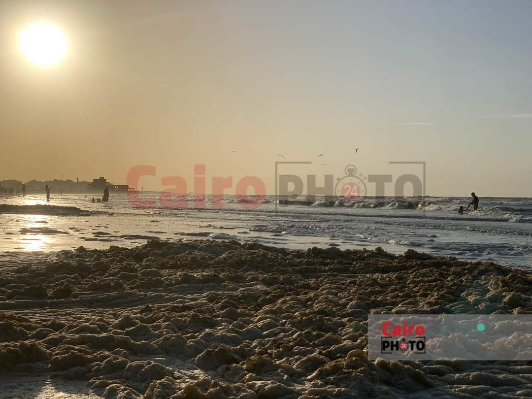 زبد البحر على شاطئ بورسعيد 