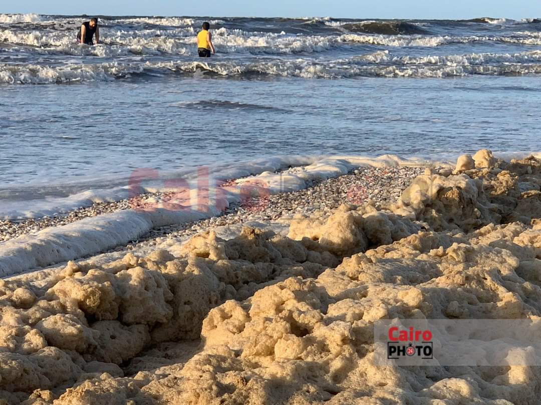 زبد البحر على شاطئ بورسعيد 