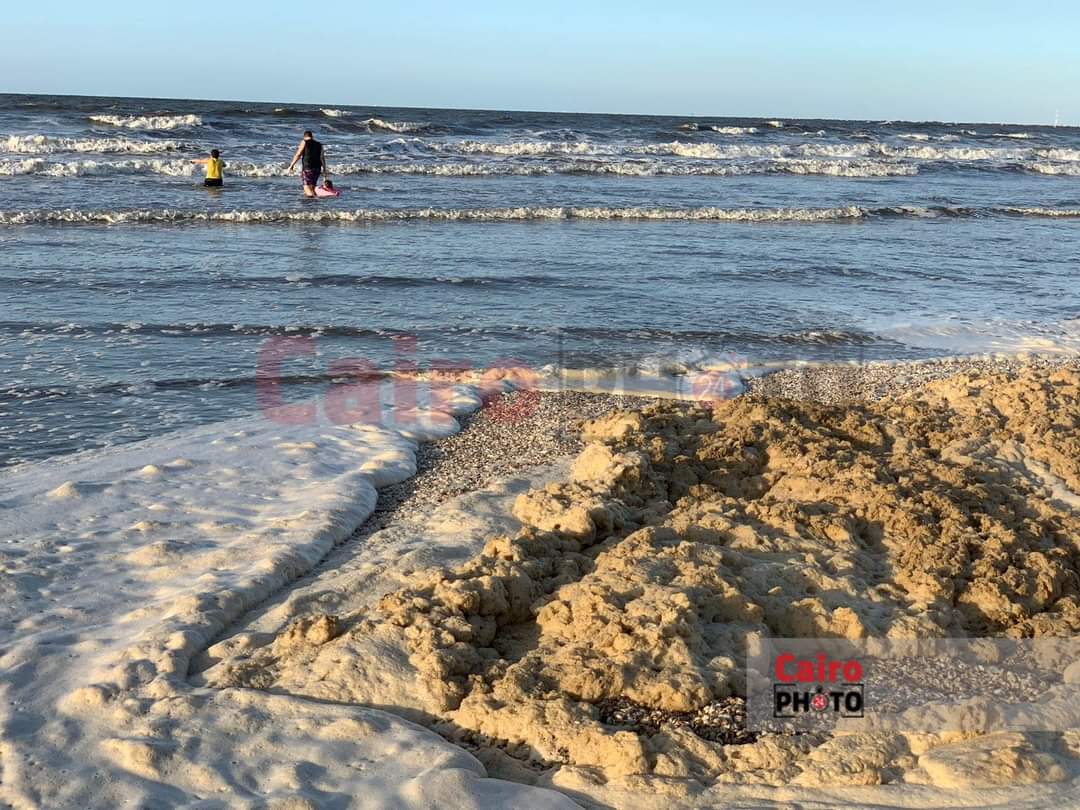 زبد البحر على شاطئ بورسعيد 
