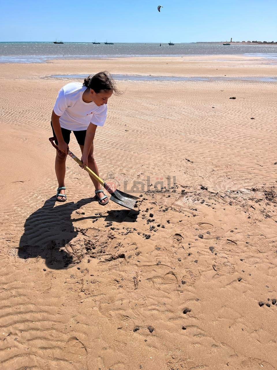 FB_IMG_1726728016844