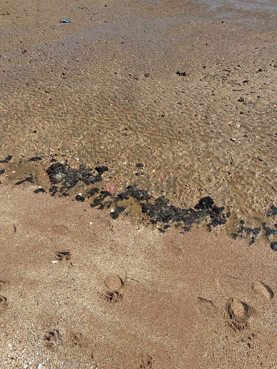 FB_IMG_1726728059002