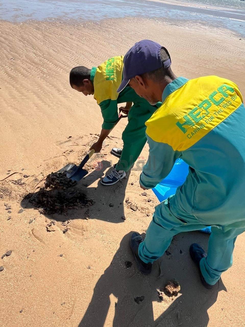 FB_IMG_1726728083154