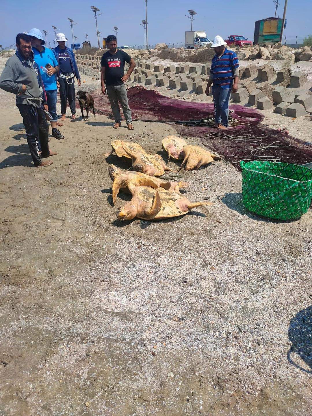 الصور المتداولة اليوم 