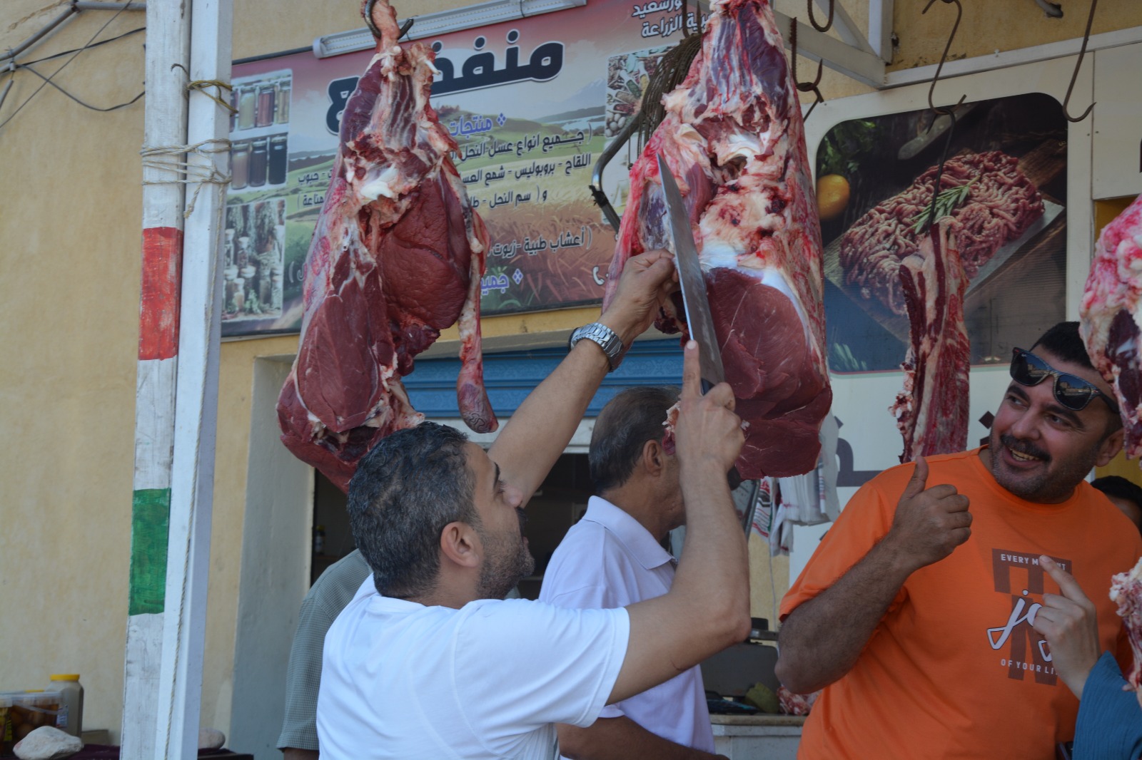فاعليات مبادرة بداية ببورسعيد 