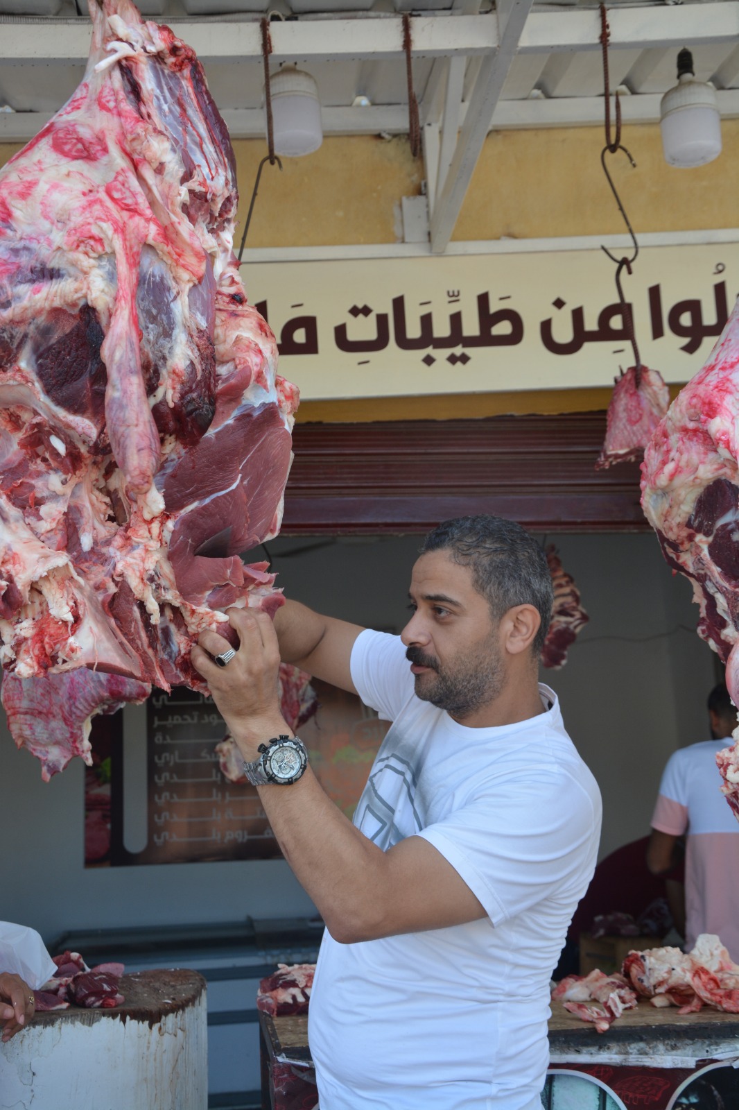 فاعليات مبادرة بداية ببورسعيد 