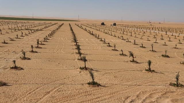 طرح أراضي الإسكان المتوسط