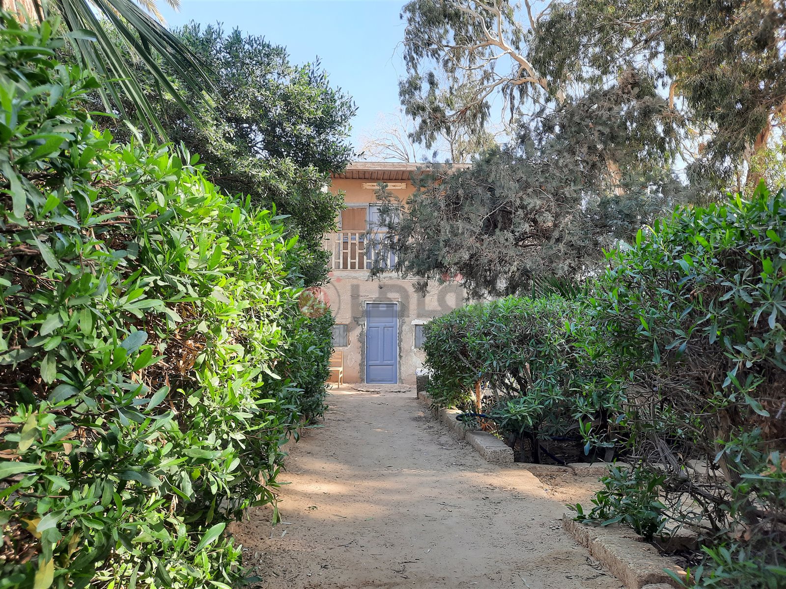 ٢٠٢٤٠١٢٠_١٣٠٤٣٨