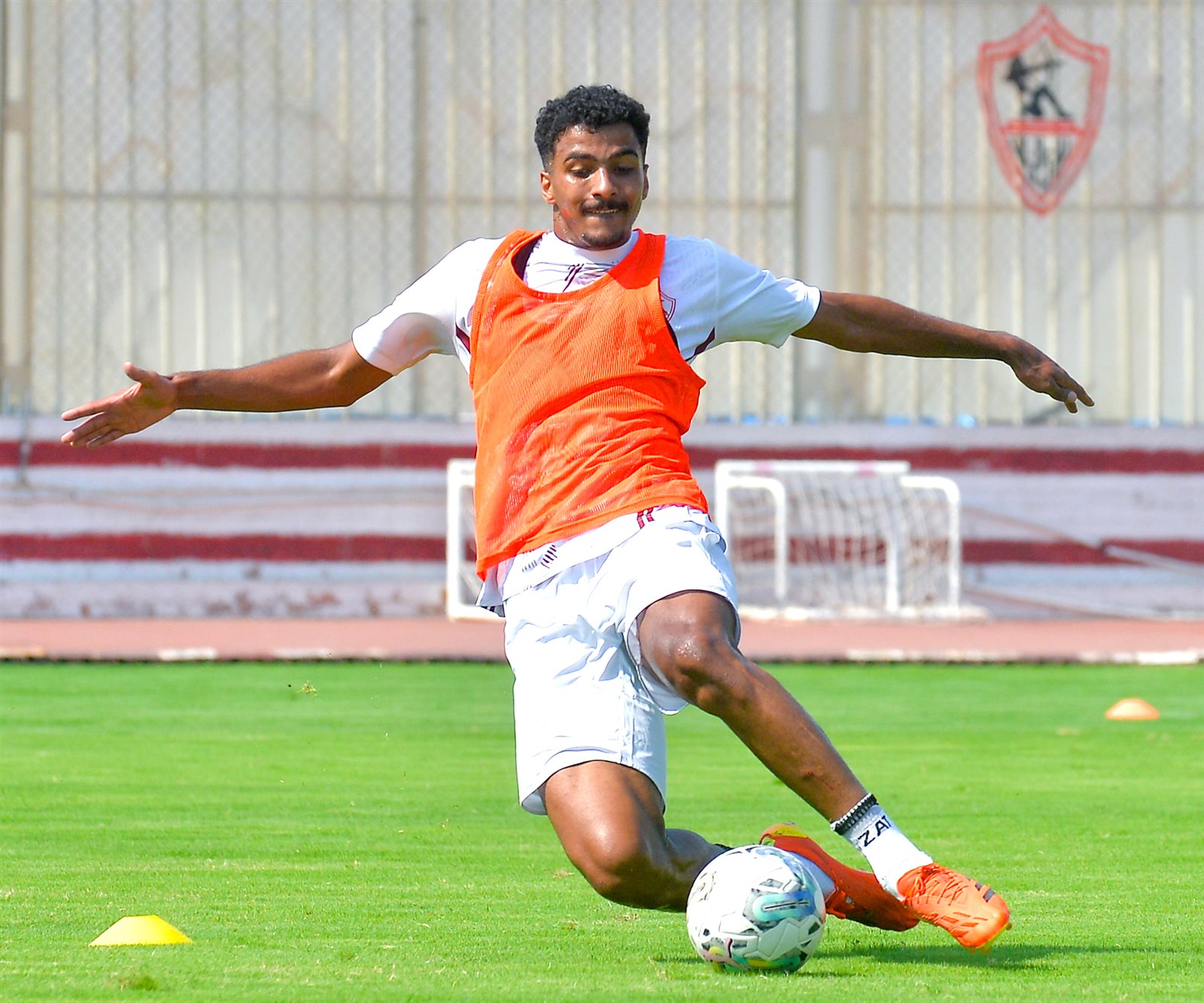 حسام عبد المجيد