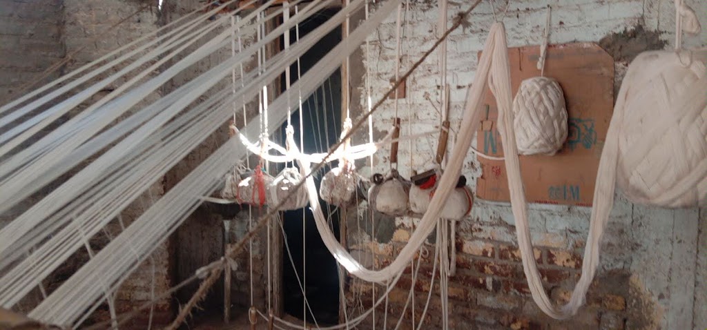 IMG_٢٠٢٤١٠٠٧_١٣١٦٣٢