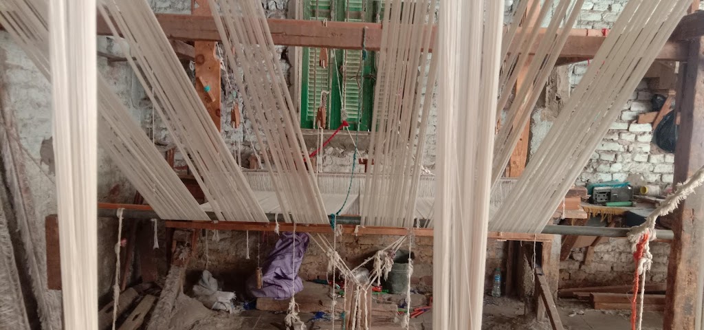 IMG_٢٠٢٤١٠٠٧_١٣١٦٤٣