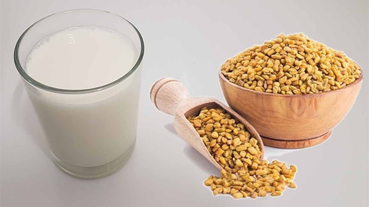 فوائد الحلبة للنساء للتسمين