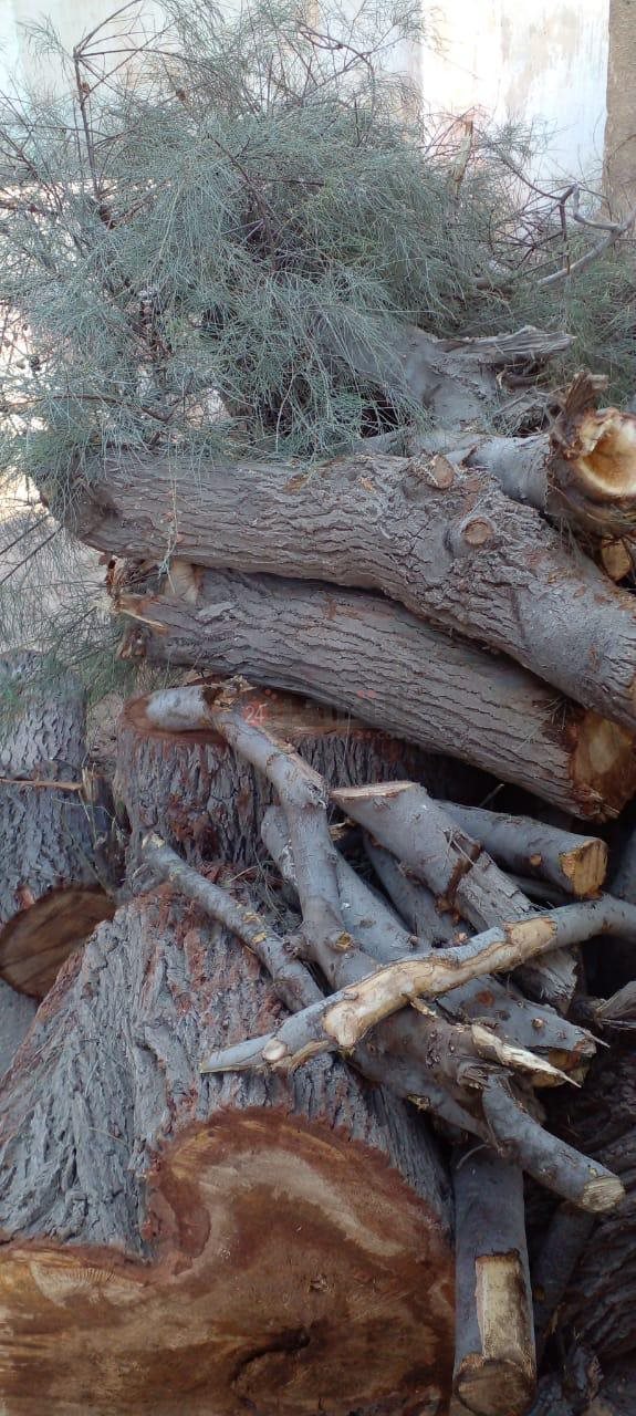 مقابر بورسعيد 