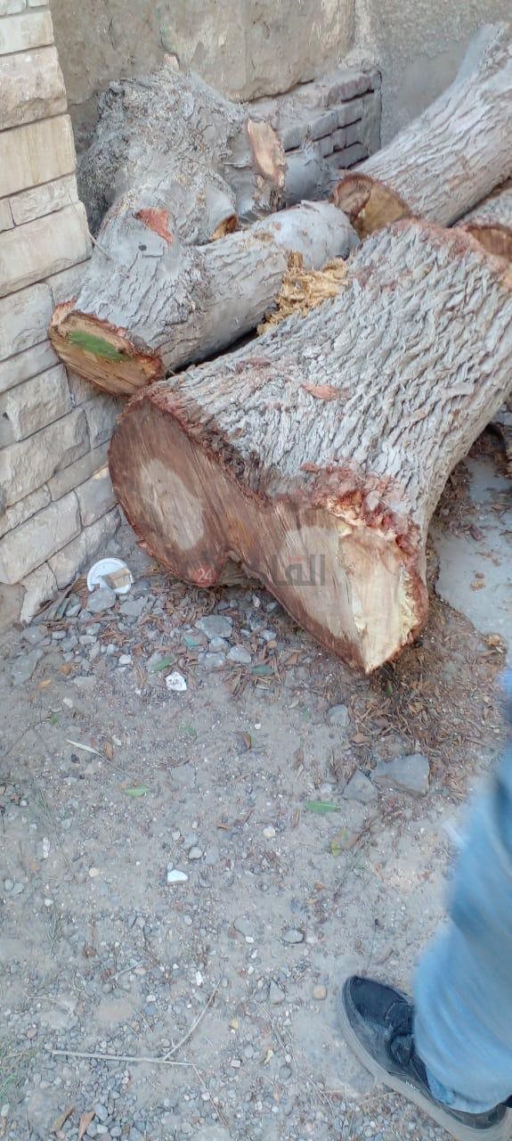 مقابر بورسعيد 