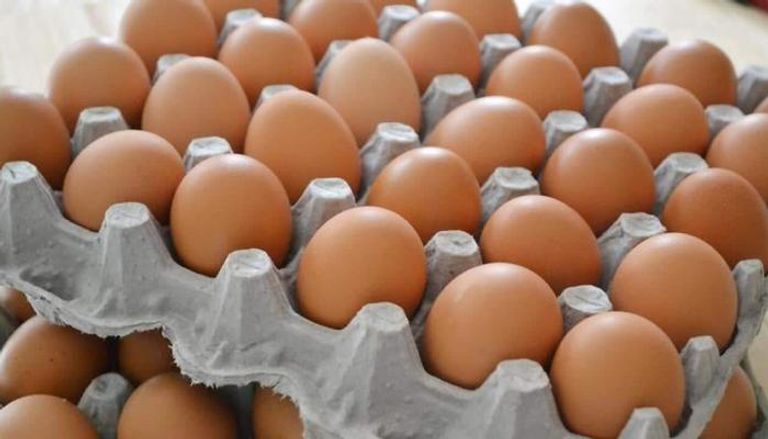 نسبة المغنيسيوم في البيض