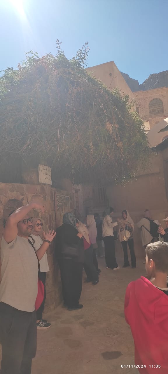 2705d492-8b1a-44cb-9fd4-89777b41f0f1