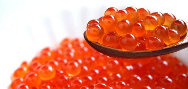 تفسير حلم بيض السمك للعزباء