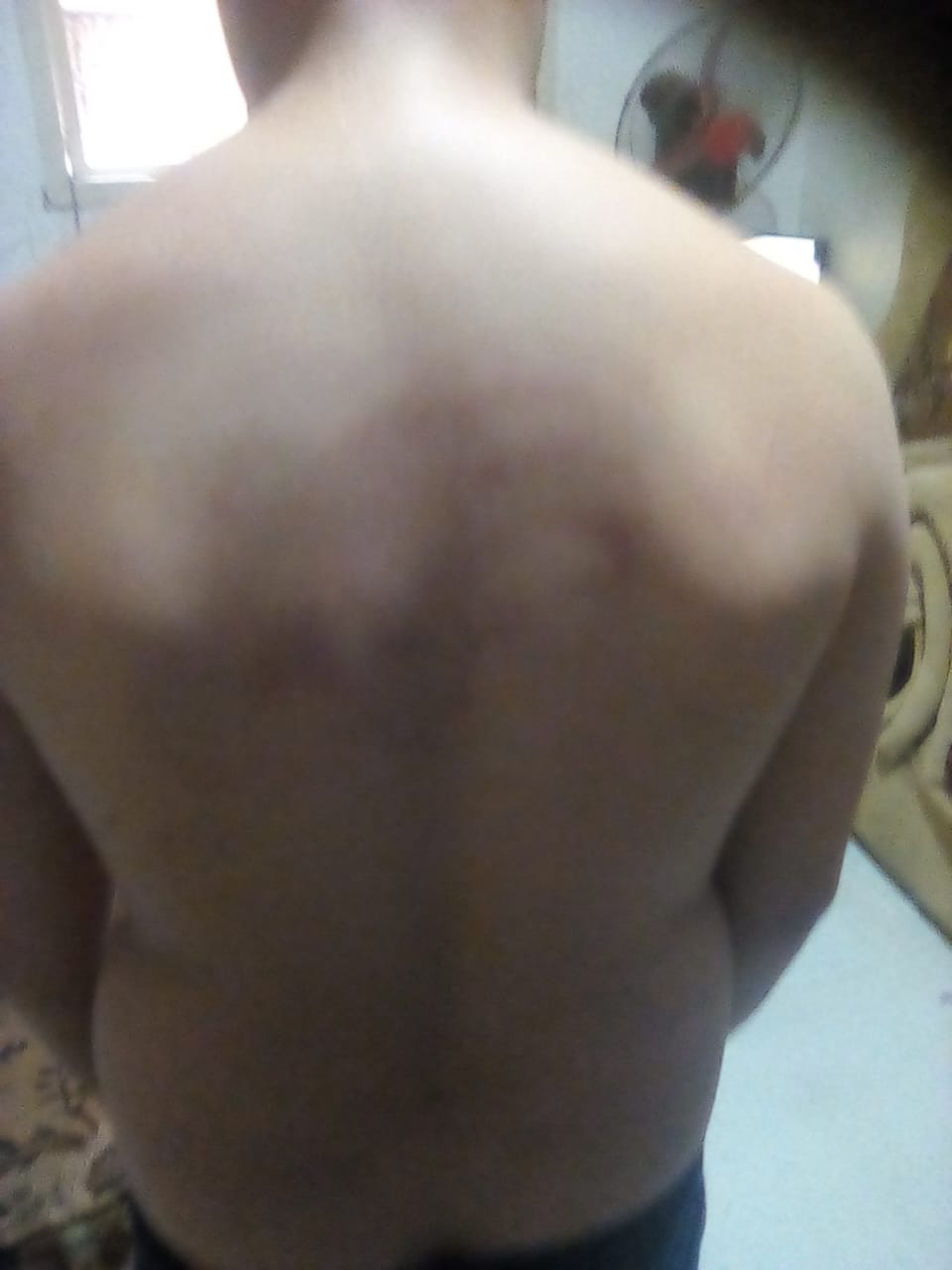 1d5b1b5c-8064-4a45-8869-b8100ab07bd9