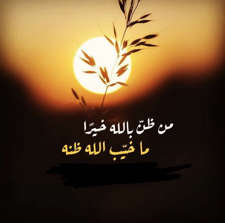 كلمات عن راحة البال بالصور