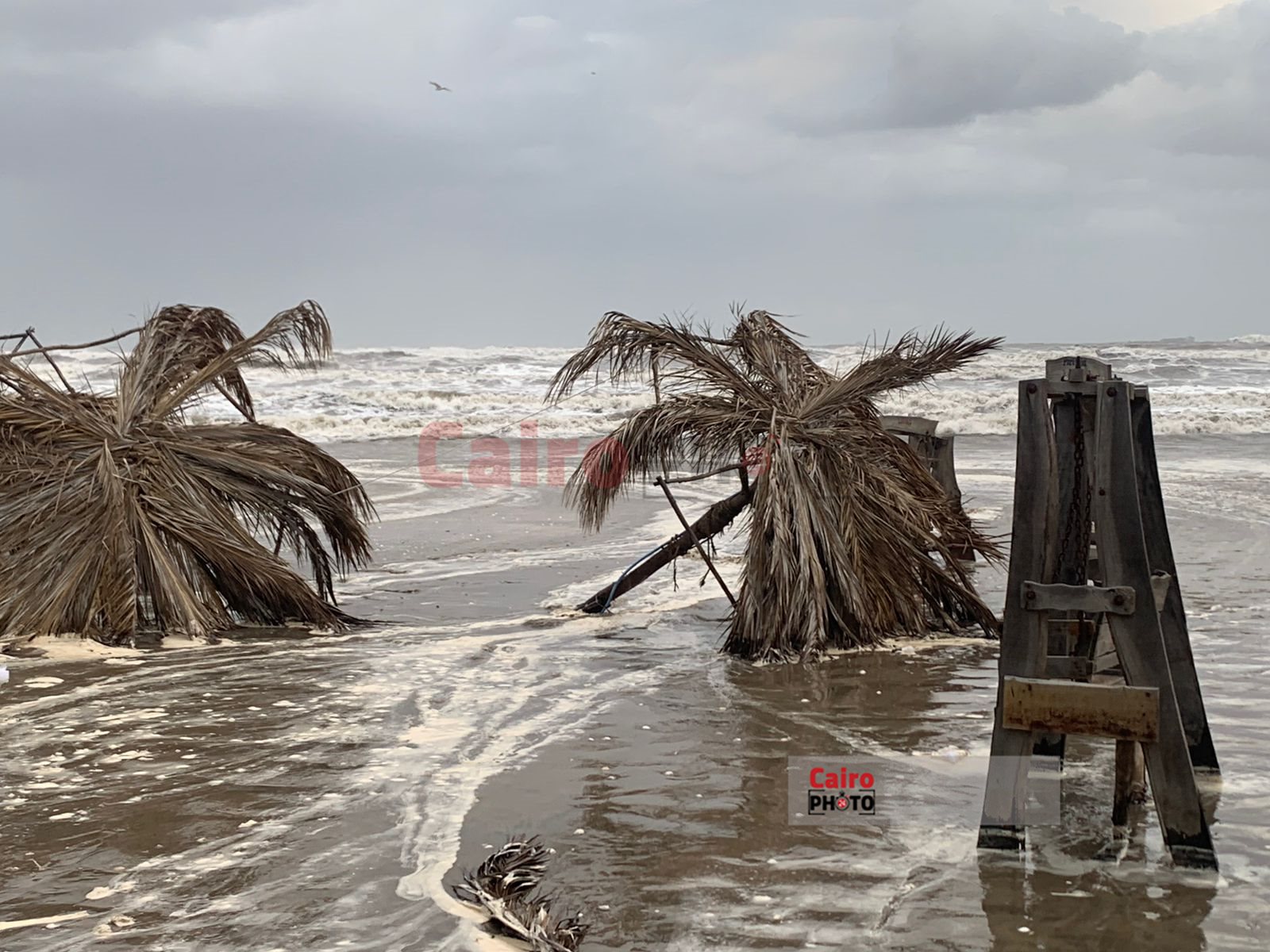 شاطئ بورسعيد 