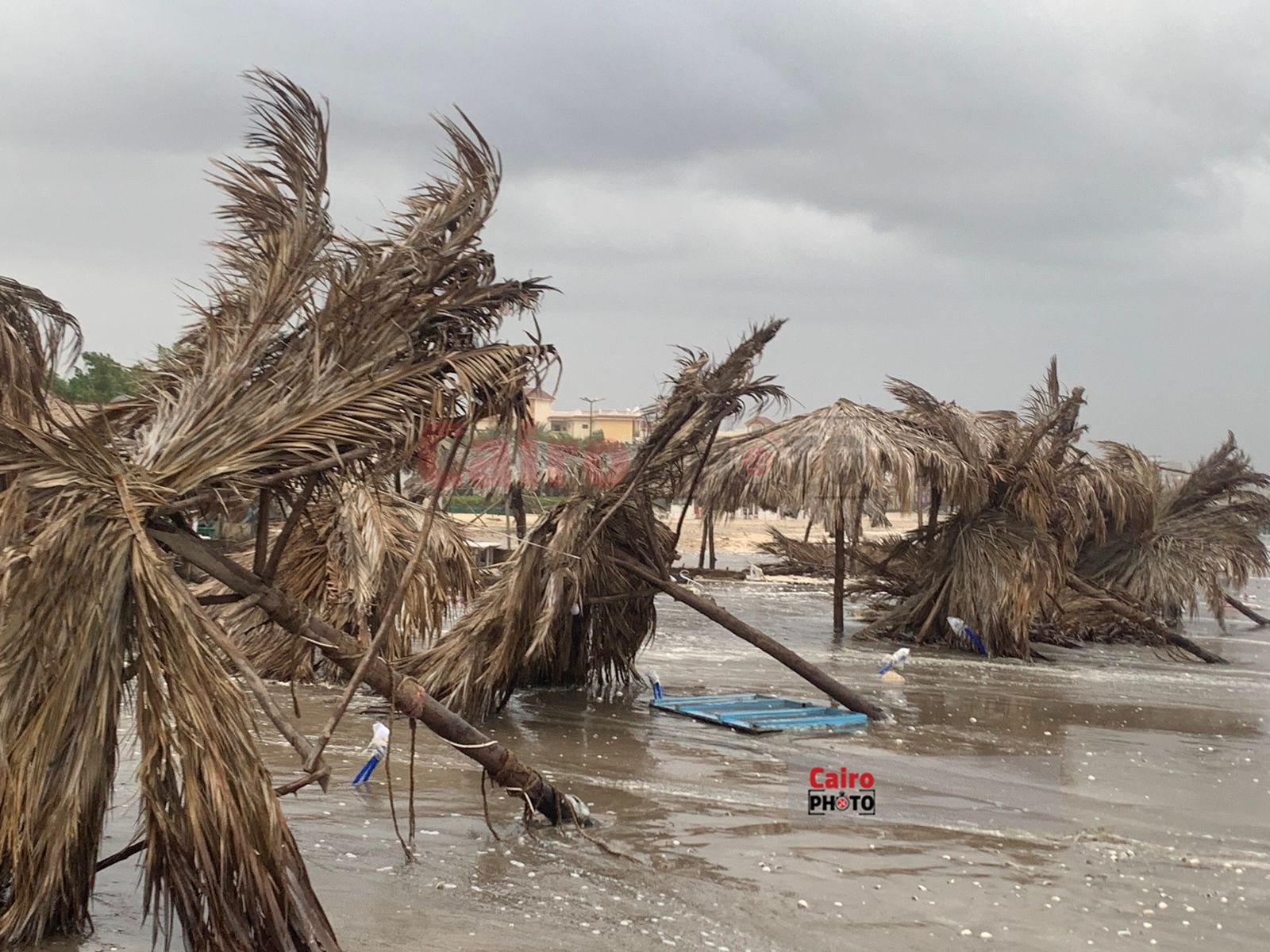 شاطئ بورسعيد 