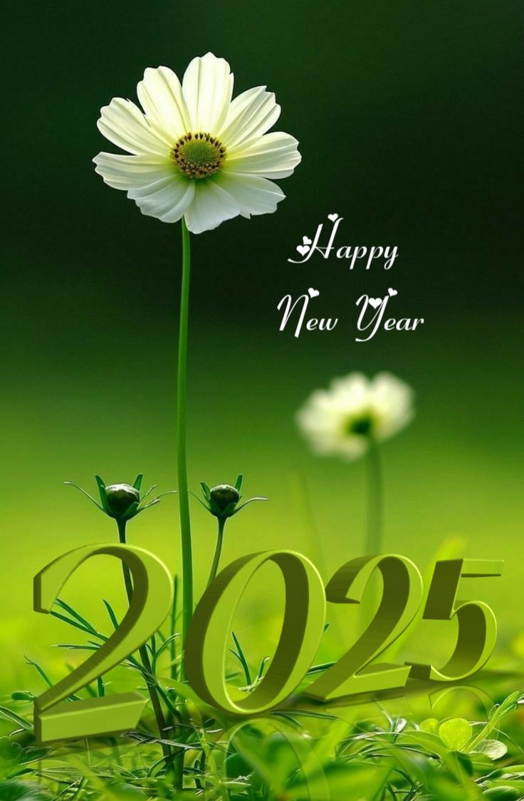 أجمل صور تهنئة رأس السنة الجديدة 2025 0