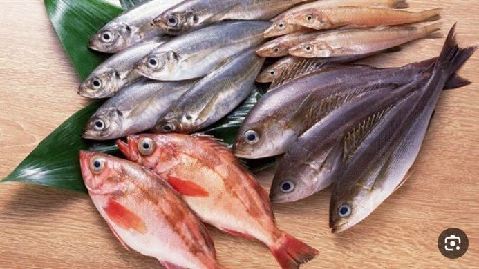 رؤية السمك في المنام للرجل الأعزب