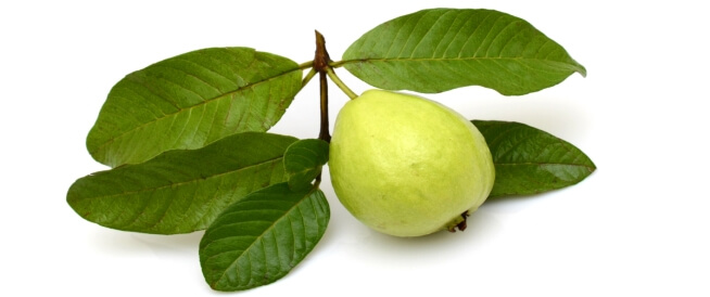 أضرار الجوافة