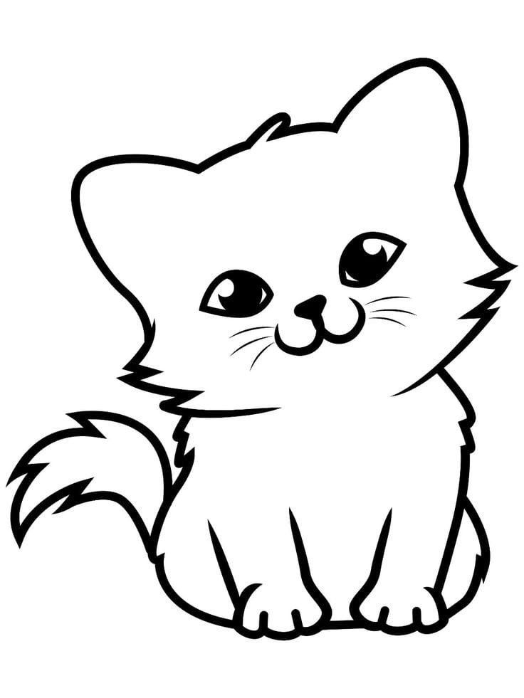 رسمة قطة للأطفال