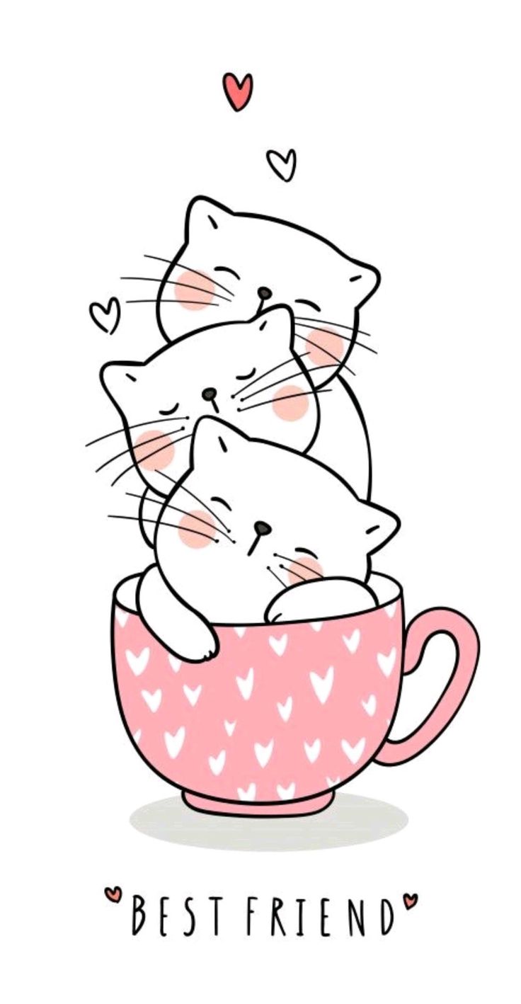 رسم قطة ملونة