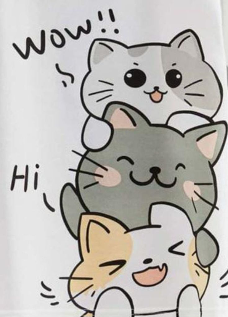 رسم قطة ملونة